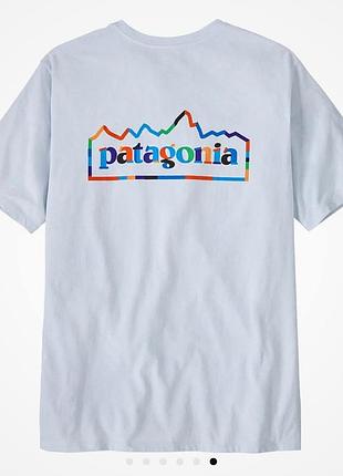 Футболка чоловіча patagonia з принтом