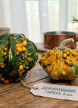 Декоративные тыквы хелловин 🎃 бородавчатые тыквы для осеннего декора, 2 шт.