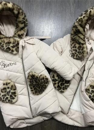 Курточка, пальто