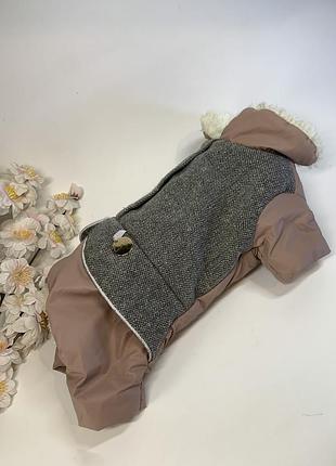 Зимовий комбінезон для маленьких собак pet fashion twiddy, розмір xs спинка 25, груди 40 (н8291)