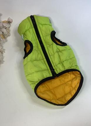 Двостороння ультралегка куртка-жилет airyvest для собак, collar, розмір s30 (н8292)