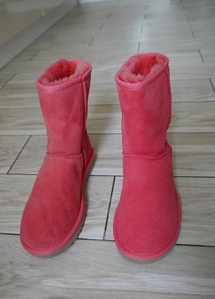 Жіночі оригінальні чоботи ugg