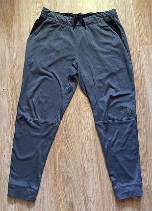 Спортивные штаны the north face