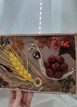 Осіння поробка (аплікація), виготовлена з природних матеріалів на картоні ручна робота