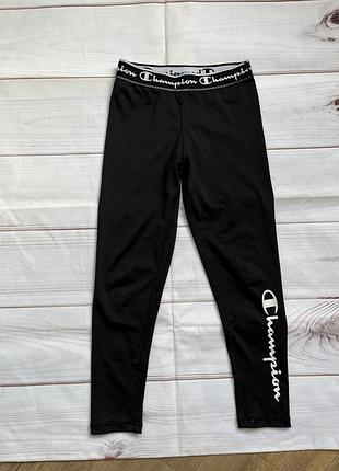 Лосіни champion, на 8 років, оригінал