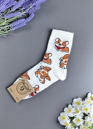 Женские высокие белые носки в рубчик с принтом корги носокоф (собачки corgi), р. 36-40 (1 пара)