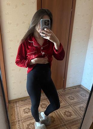 Лосини/лосіни