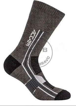Шкарпетки accapi hiking merino crew
