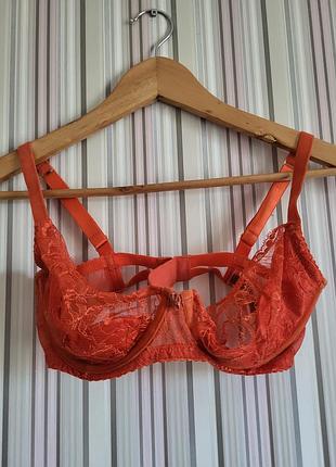 Розкішний комплект білизни dita von teese tryst (бюстгальтер 34e / 75f та трусики m) у кольорі poppy