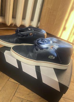 Кеди для хлопчика lacoste сині, розмір 33