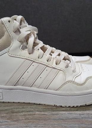 Кросівки жіночі adidas кремові шкіряні 39