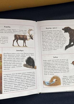 Книжка дитяча тварини 2