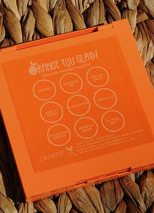 Палітра colourpop "orange you glad?" 4