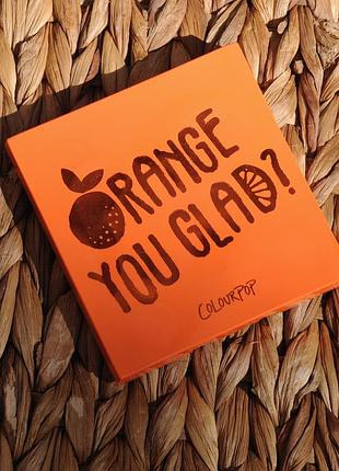 Палітра colourpop "orange you glad?" 3