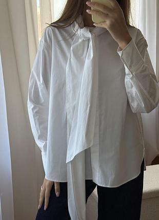 Нова котонова сорочка біла zara з шарфом галстуком