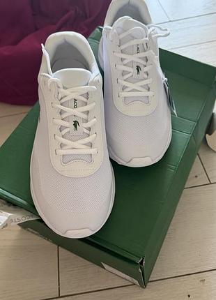 Кросівки lacoste 5