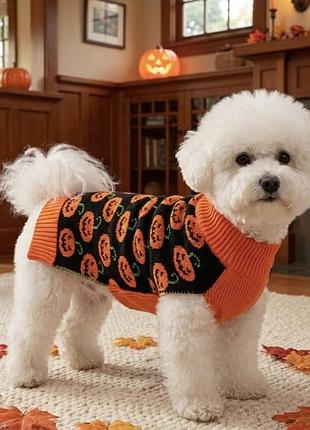 Светр жилет для песика на свято halloween хеллоувін