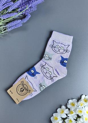 Женские высокие сиреневые носки с котами носокоф (котики / чеширский кот), р. 36-40 (1 пара)