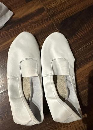 Чешки 22,5