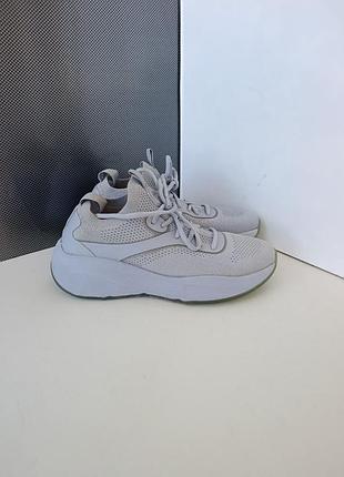 Жіночі кросівки carvela/жіночі красовки