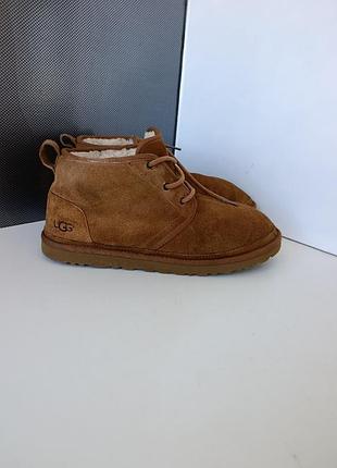 Чоловічі черевички ugg