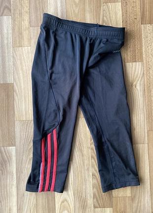 Adidas шорти велосипедки розміру с