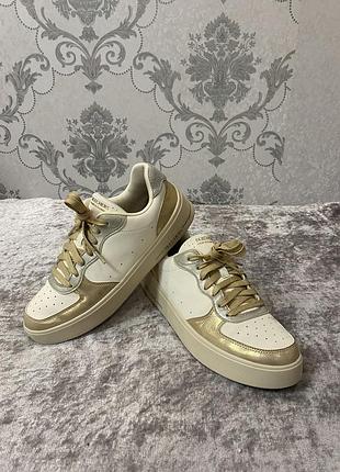 Кросівки skechers