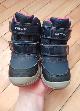 Термо сапожки geox 2