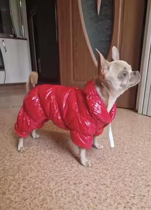 Зимовий комбінезон для песика