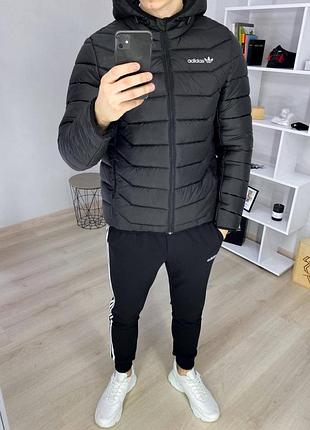 Куртка adidas демисезон 3