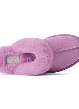 Замшевые тапочки мюли  ugg scuffette ii цвете wildflower /0000h/