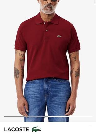 Чоловіче бордове поло lacoste 6