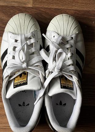 Кросівки adidas