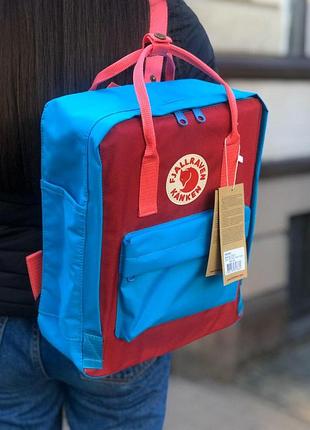 Cream blue-dark red 36