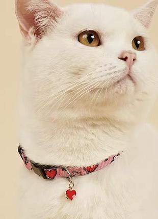 Нашийник для котів