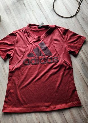 Жіноча спортивна футболка adidas бордова