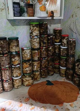 Мариновані гриби 🍄‍🟫 сушені гриби 🍄‍🟫