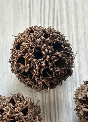 Платан натуральний (100 гр)