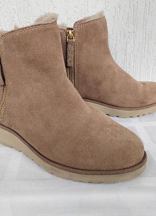 Замшевие зимние полусапожки ugg australia р.38