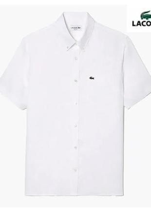 Белую мужскую рубашку от бренда lacoste с воротником на пуговицах (button-down) и размером 43 (classic/regular fit).