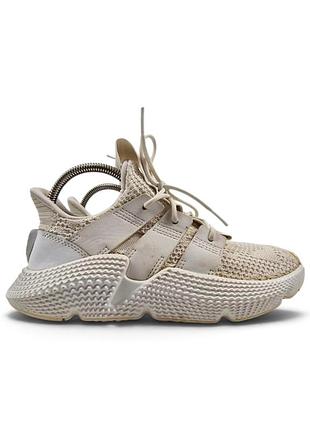 Кросівки чоловічі adidas prophere climacool