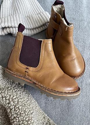 Шкіряні черевики челсі коричневого кольору чобітки next tan brown warm lined leather chelsea boots
