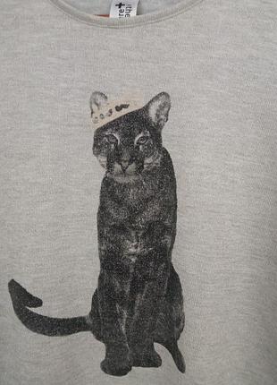 Кофта с принтом котика.here 2