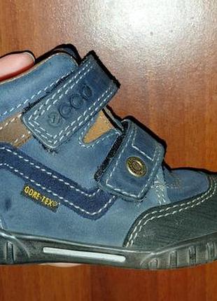 Демісезонні черевики eco mimic