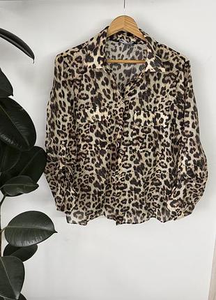 Сорочка лео від zara