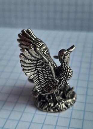 Пара мандаринок 4