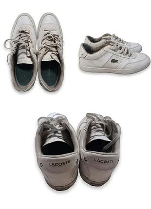 Lacoste white trainers 43