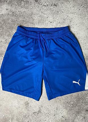 Чоловічі спортивні шорти puma / оригінал / розмір l