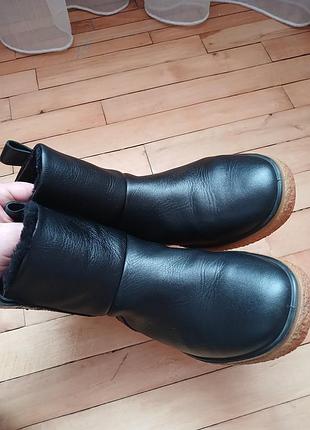 Зимові черевики  ecco crepetray w 3