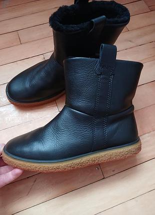 Зимові черевики  ecco crepetray w